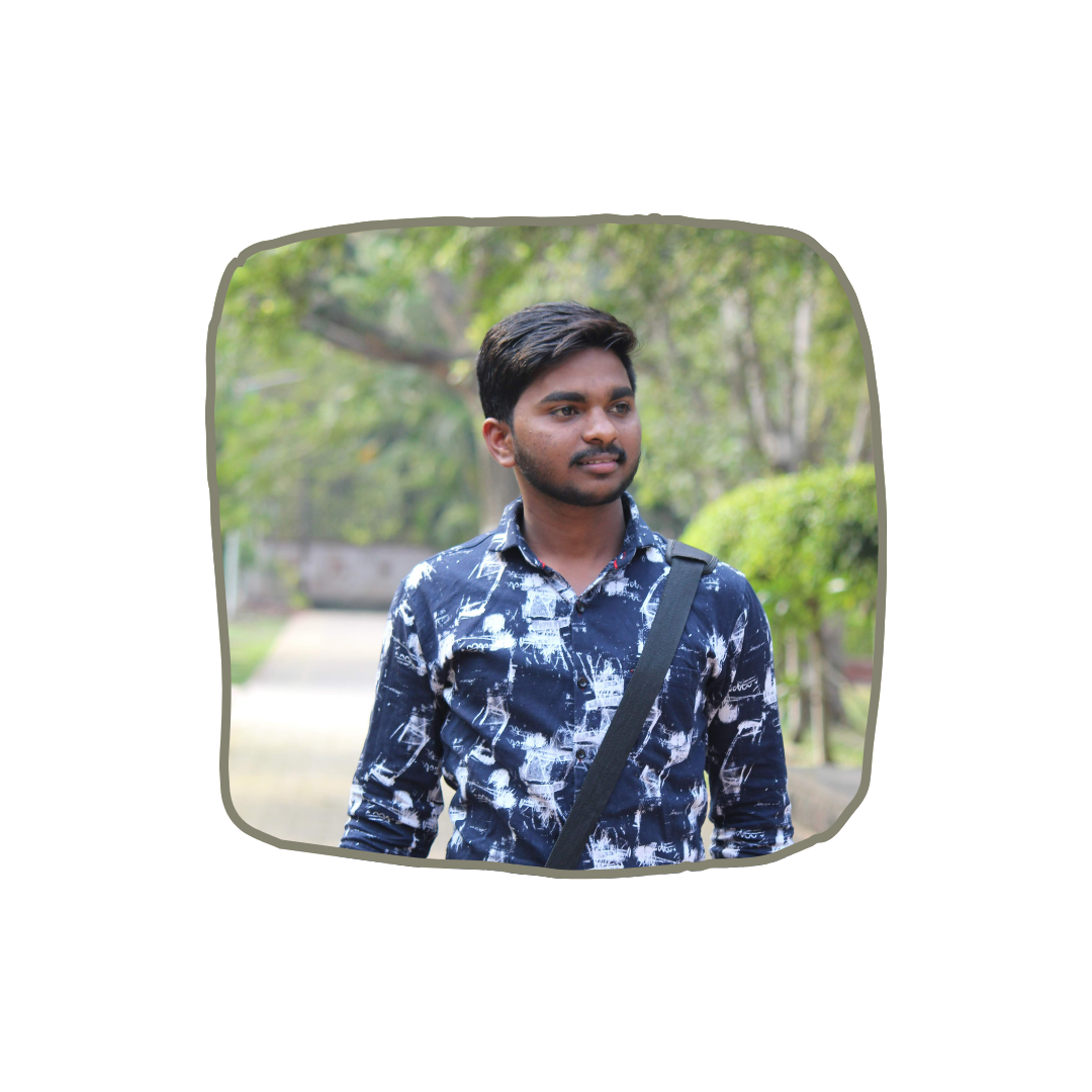 developer image